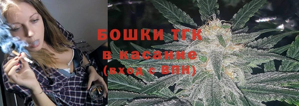 хмурый Новозыбков