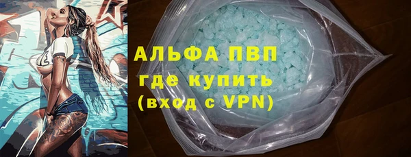 хмурый Новозыбков