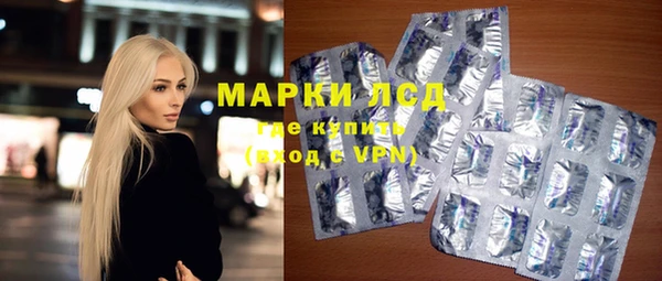 хмурый Новозыбков