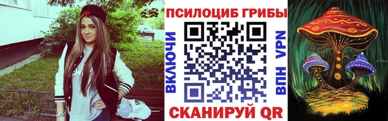 где продают наркотики  Красный Холм  Псилоцибиновые грибы прущие грибы 
